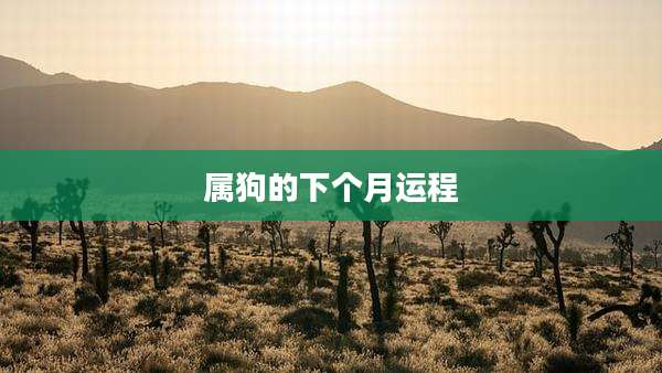 属狗的下个月运程