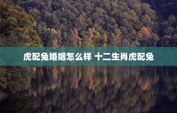 虎配兔婚姻怎么样 十二生肖虎配兔