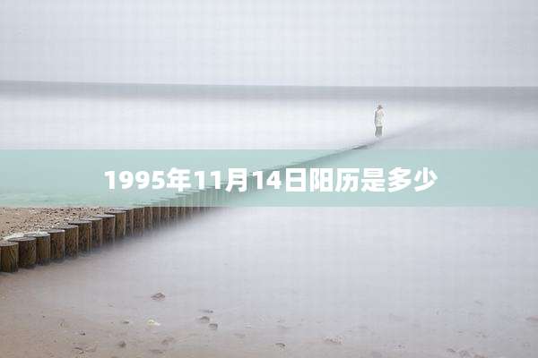 1995年11月14日阳历是多少