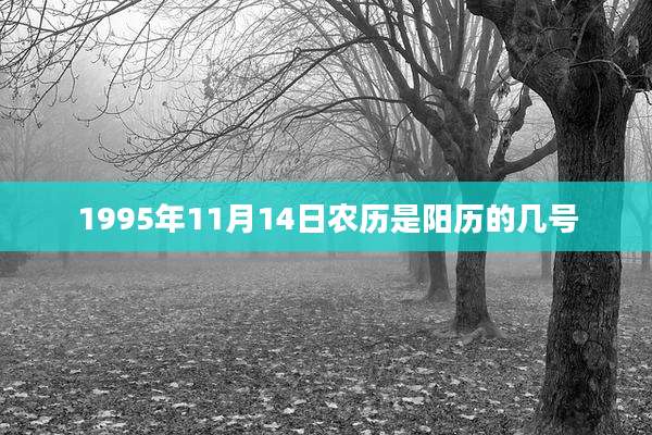 1995年11月14日农历是阳历的几号