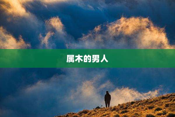属木的男人