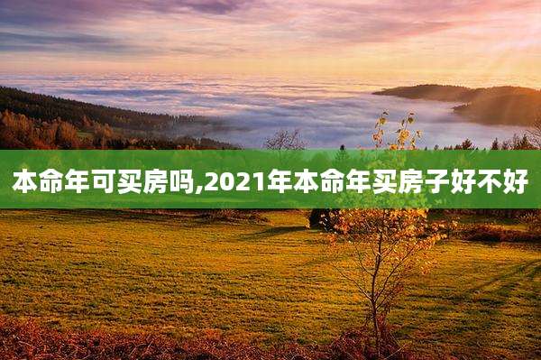 本命年可买房吗,2021年本命年买房子好不好