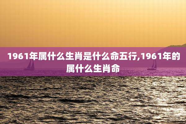 1961年属什么生肖是什么命五行,1961年的属什么生肖命