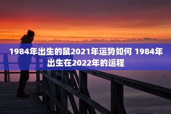 1984年出生的鼠2021年运势如何 1984年出生在2022年的运程