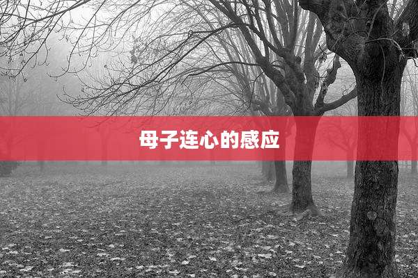 母子连心的感应