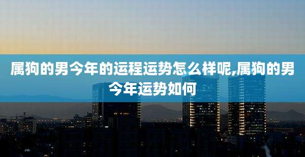 属狗的男今年的运程运势怎么样呢,属狗的男今年运势如何