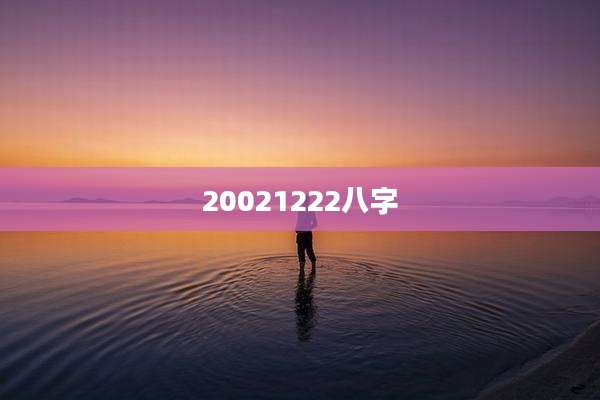 20021222八字
