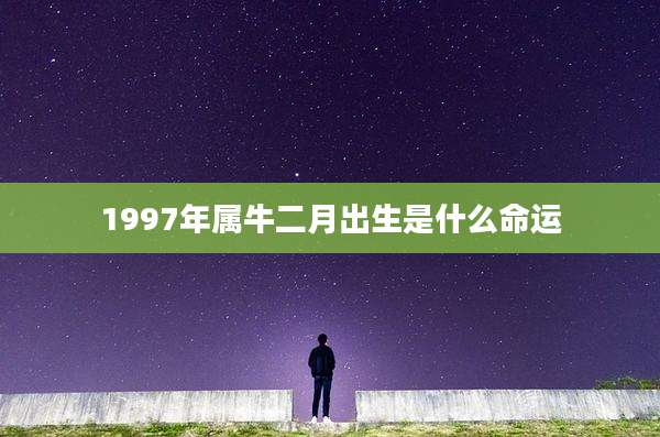 1997年属牛二月出生是什么命运