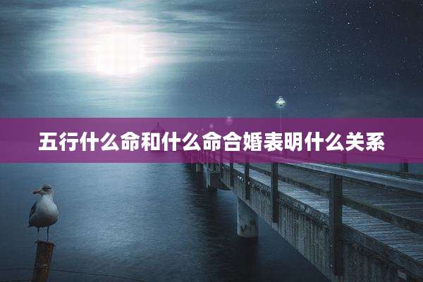 五行什么命和什么命合婚表明什么关系