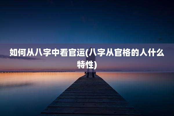 如何从八字中看官运(八字从官格的人什么特性)