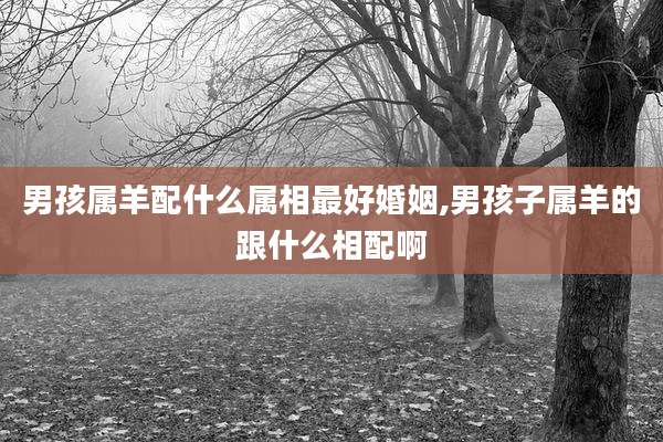 男孩属羊配什么属相最好婚姻,男孩子属羊的跟什么相配啊