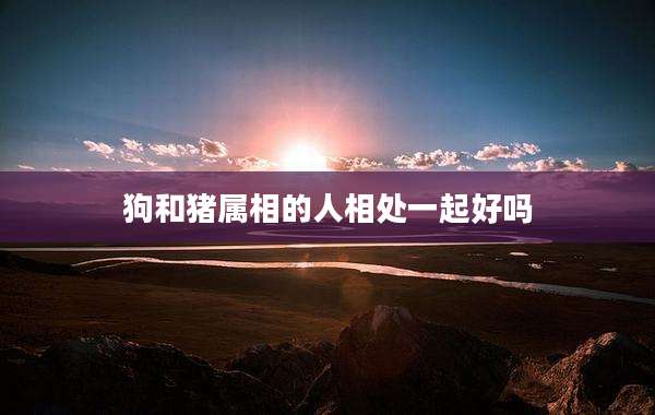 狗和猪属相的人相处一起好吗
