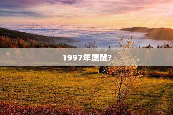 1997年属鼠?