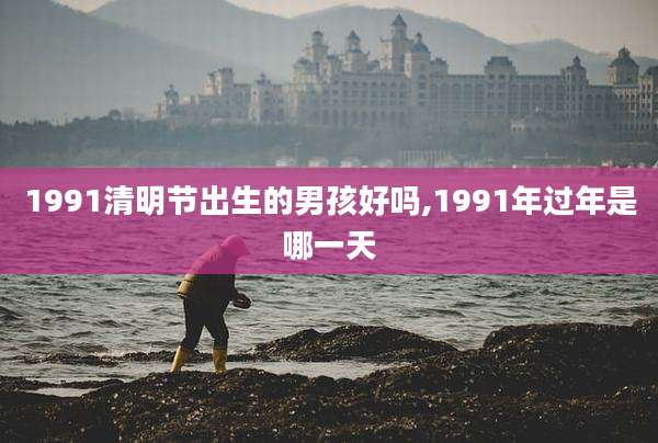 1991清明节出生的男孩好吗,1991年过年是哪一天