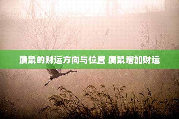 属鼠的财运方向与位置 属鼠增加财运