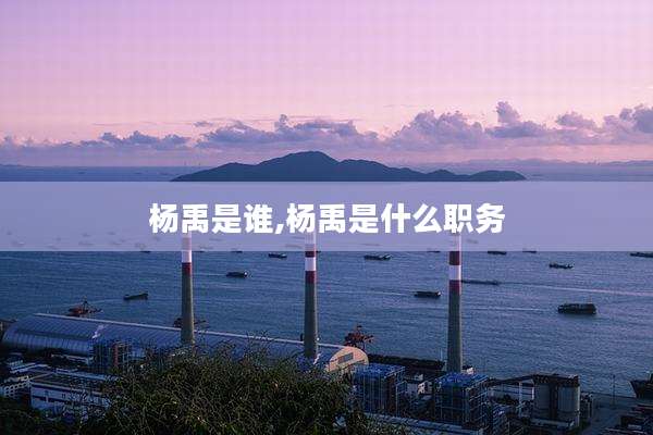 杨禹是谁,杨禹是什么职务