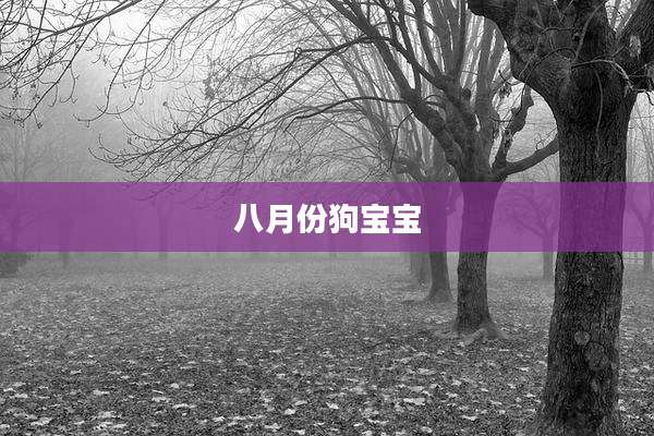 八月份狗宝宝