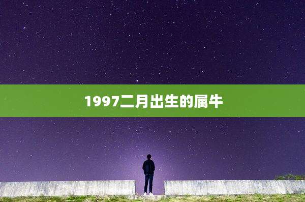 1997二月出生的属牛