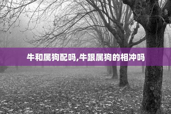 牛和属狗配吗,牛跟属狗的相冲吗
