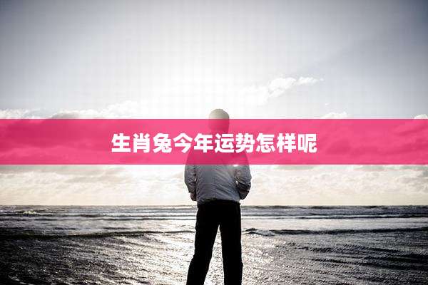 生肖兔今年运势怎样呢