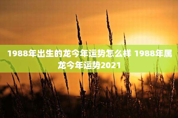 1988年出生的龙今年运势怎么样 1988年属龙今年运势2021