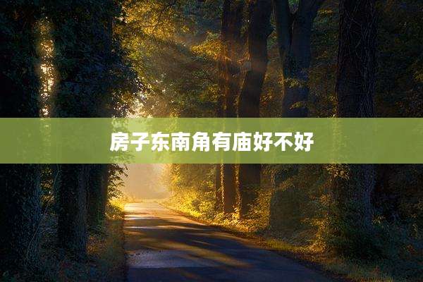 房子东南角有庙好不好
