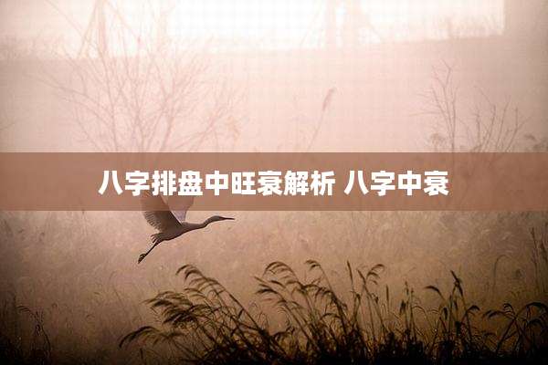 八字排盘中旺衰解析 八字中衰