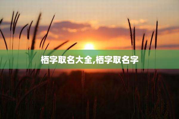 栖字取名大全,栖字取名字
