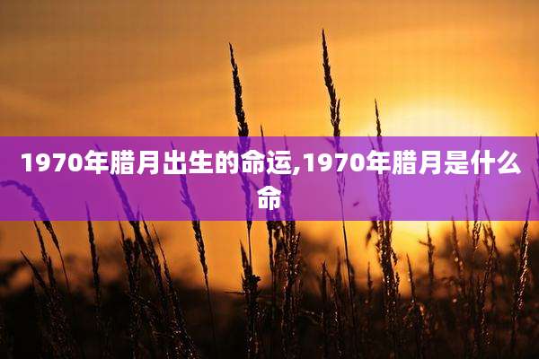 1970年腊月出生的命运,1970年腊月是什么命