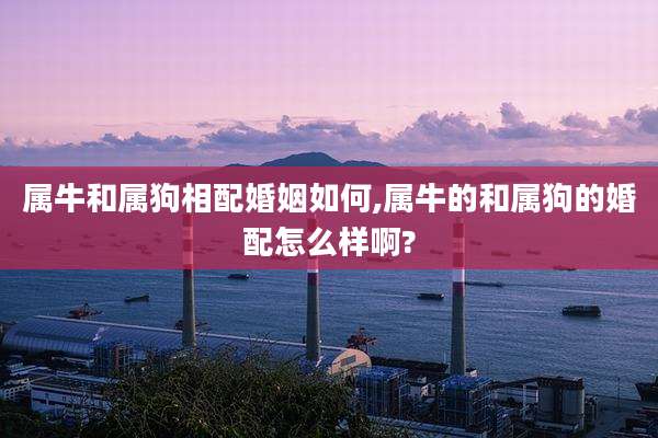 属牛和属狗相配婚姻如何,属牛的和属狗的婚配怎么样啊?