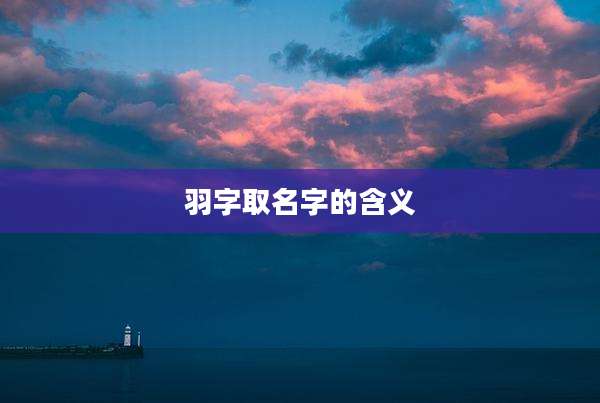 羽字取名字的含义