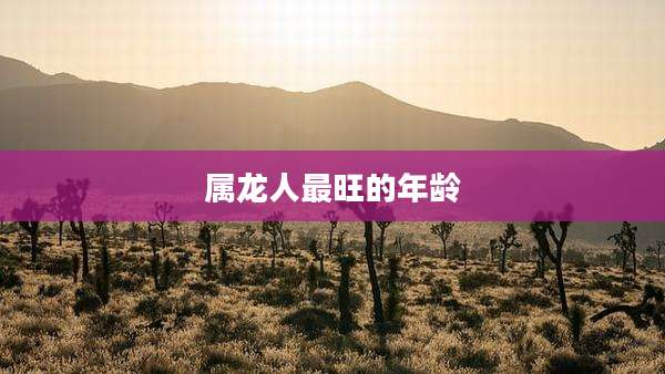 属龙人最旺的年龄