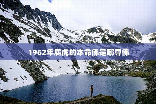 1962年属虎的本命佛是哪尊佛