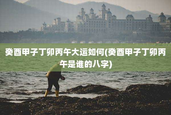 癸酉甲子丁卯丙午大运如何(癸酉甲子丁卯丙午是谁的八字)