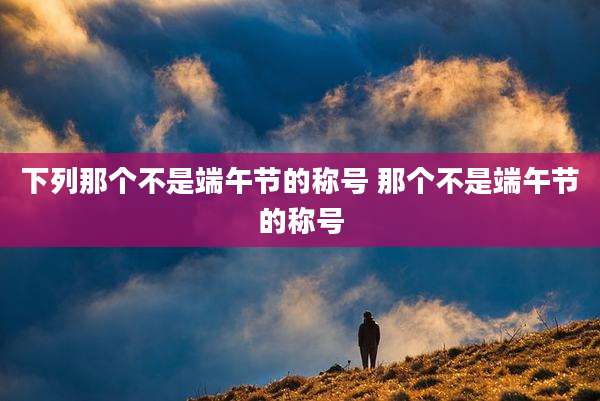 下列那个不是端午节的称号 那个不是端午节的称号