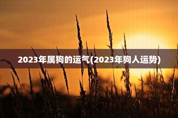 2023年属狗的运气(2023年狗人运势)
