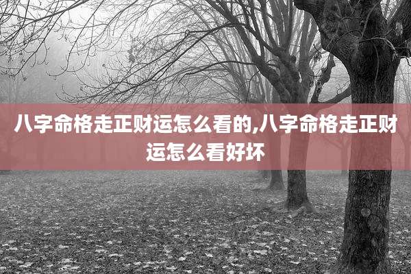 八字命格走正财运怎么看的,八字命格走正财运怎么看好坏