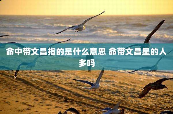命中带文昌指的是什么意思 命带文昌星的人多吗