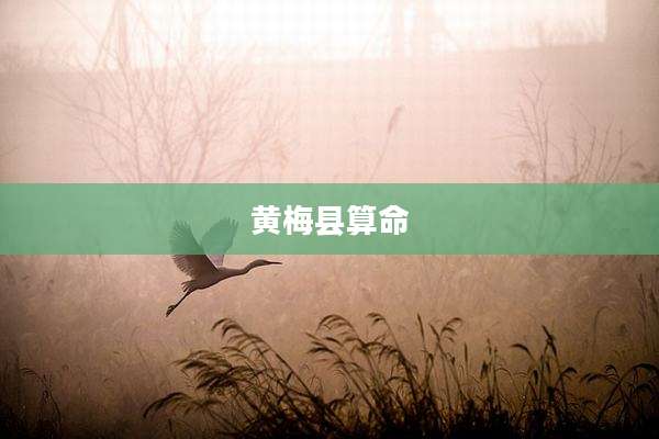 黄梅县算命