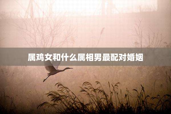 属鸡女和什么属相男最配对婚姻