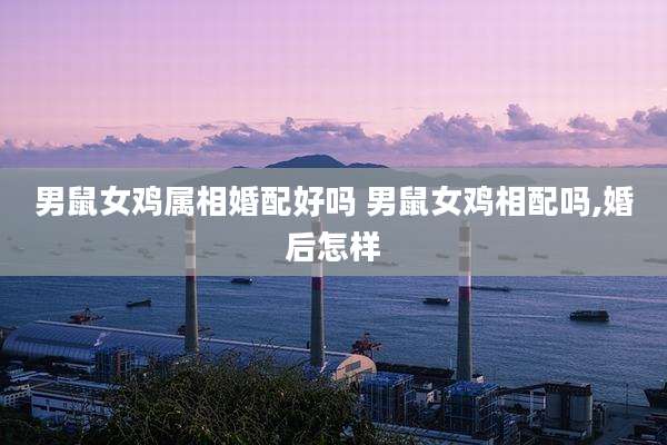 男鼠女鸡属相婚配好吗 男鼠女鸡相配吗,婚后怎样