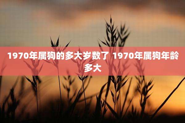 1970年属狗的多大岁数了 1970年属狗年龄多大