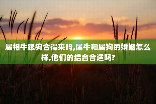 属相牛跟狗合得来吗,属牛和属狗的婚姻怎么样,他们的结合合适吗?