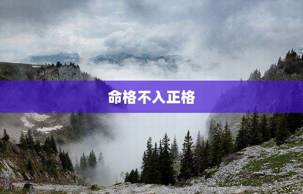 命格不入正格
