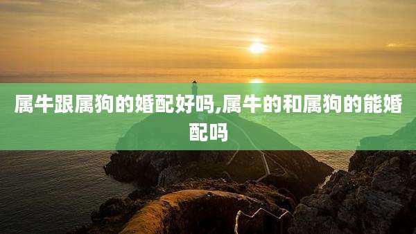 属牛跟属狗的婚配好吗,属牛的和属狗的能婚配吗