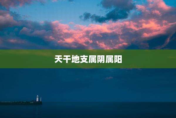 天干地支属阴属阳