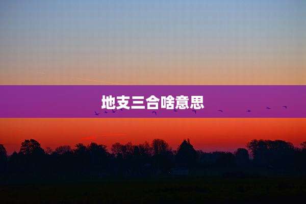 地支三合啥意思