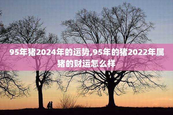 95年猪2024年的运势,95年的猪2022年属猪的财运怎么样