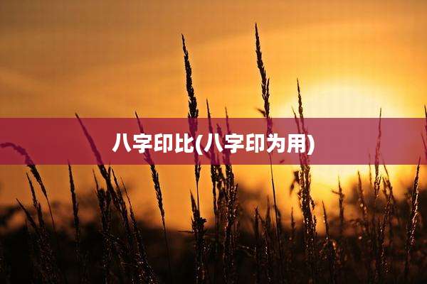 八字印比(八字印为用)