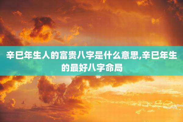 辛巳年生人的富贵八字是什么意思,辛巳年生的最好八字命局